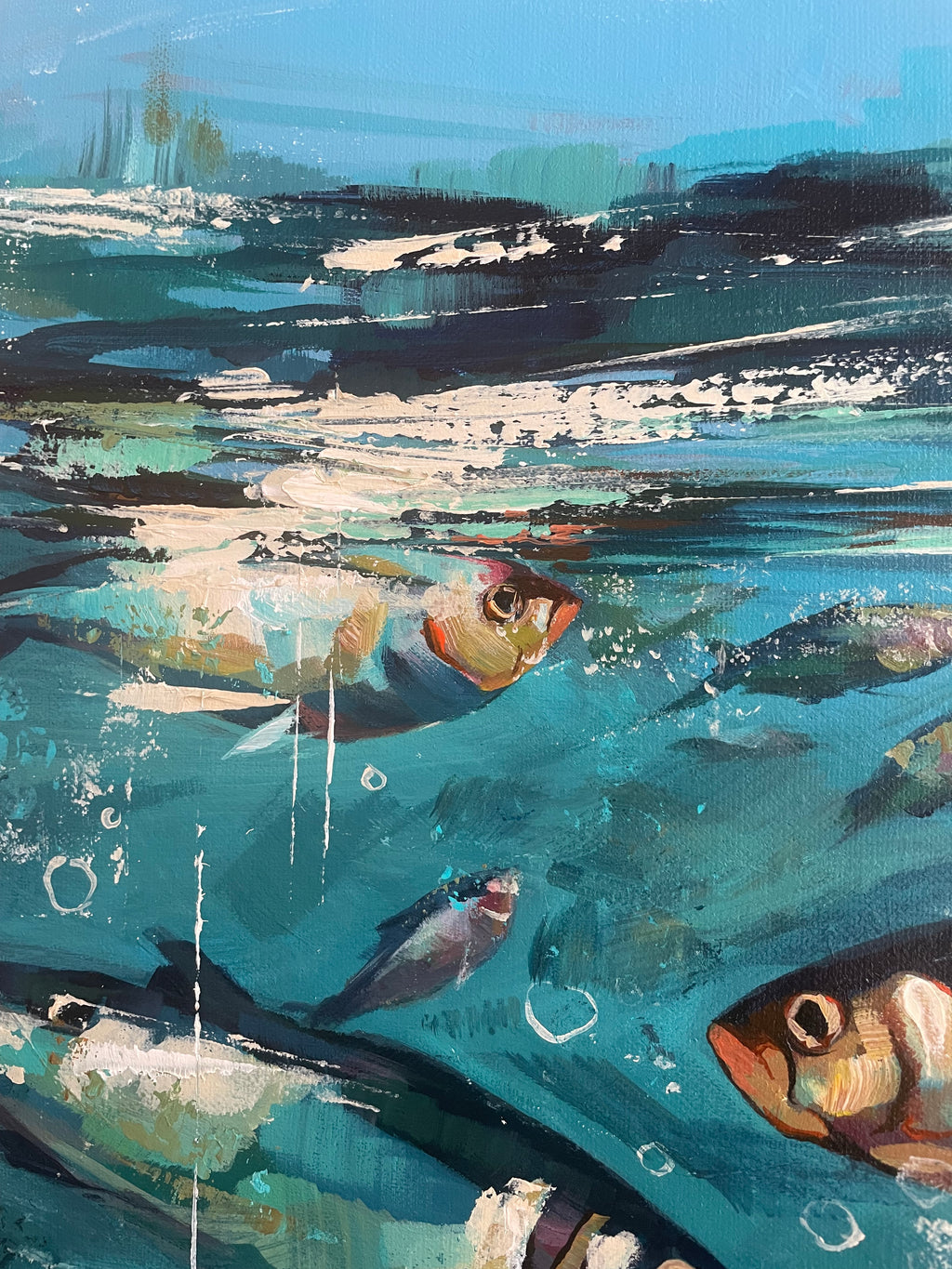 Fish